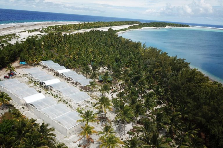 serres autonomie alimentaire filclair nukutepipi atoll polynesien